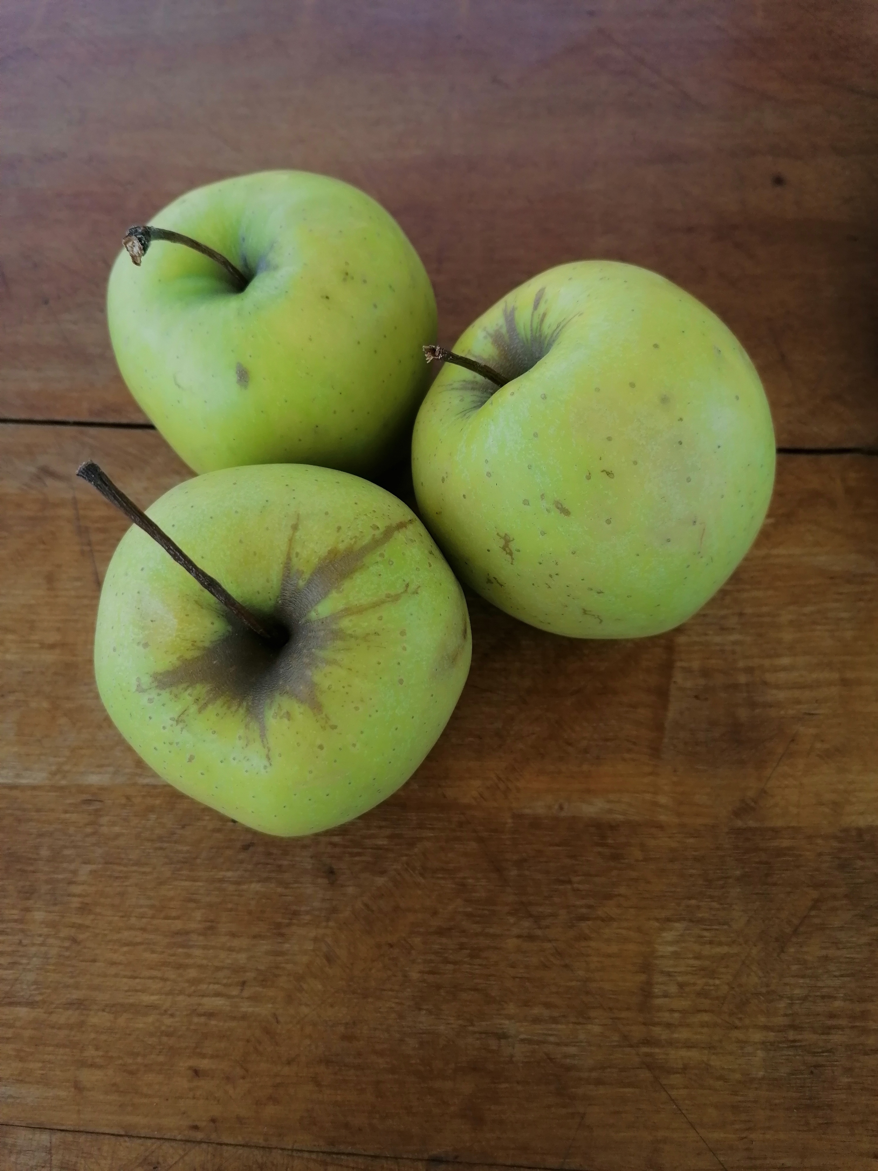 Golden Delicious Reinders almafa